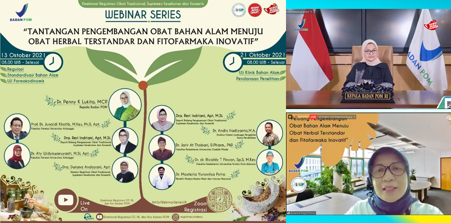 Kepala Badan POM: Obat dari Bahan Alam Indonesia agar Digunakan pada Program JKN